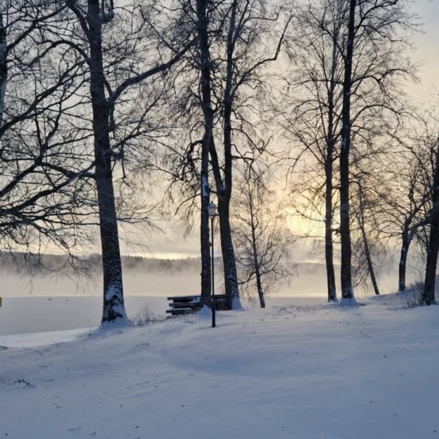 ❄️⛄️Winter in Zweden